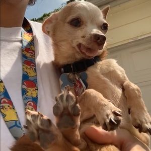 Meet your Posher, Max